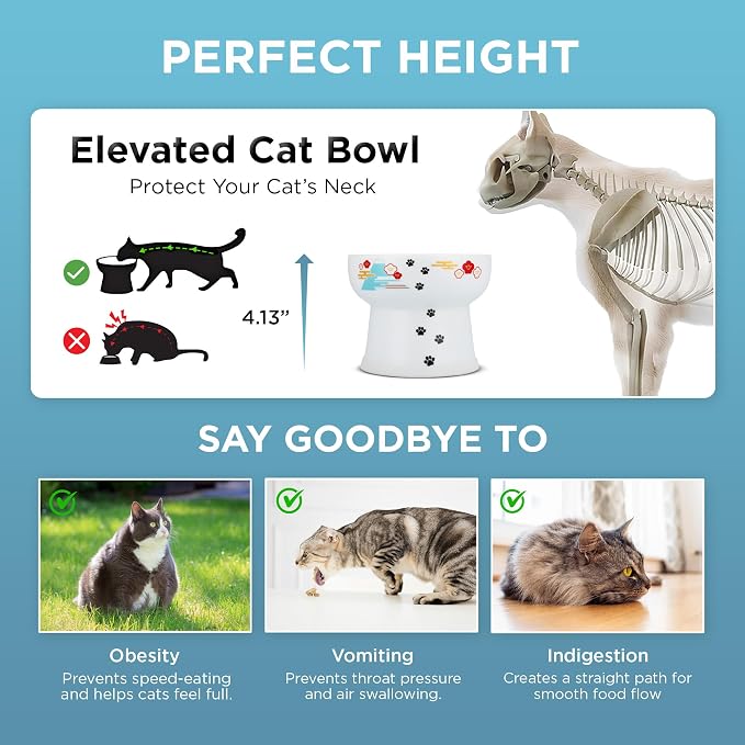Necoichi Ceramic Elevated Cat Water Bowl, Whisker-Friendly (Fuji, Extra Tall) - Image 4