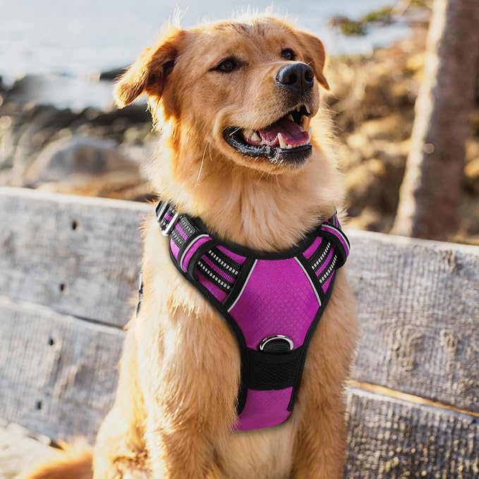 rabbitgoo Dog Harness for Large, No Pull 3 Buckles Easy On & Off | Soft Padded, Walking with Control Handle, Adjustable and Reflective, Purple, X-Large - Image 8