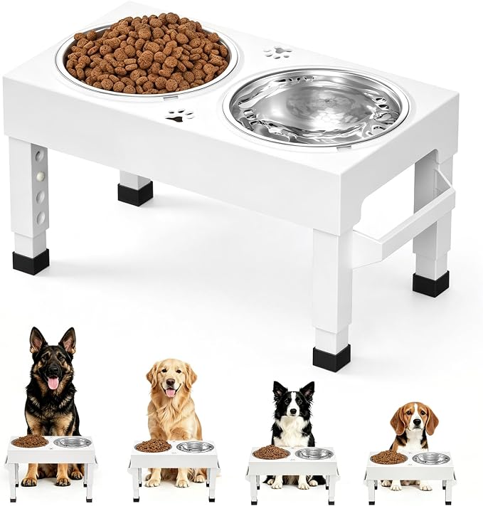 Elevated Dog Bowls Stand Large Breed, Height Adjustable Raised Dog Bowls Holder with 2 Stainless Steel Food Bowls for Small, Medium and Large Canine，White by Unknown