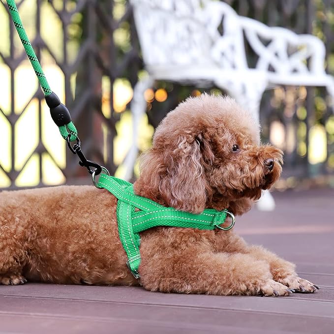Plutus Pet No Pull Dog Harness for Puppy Small Dogs, Breathable Mesh Padded | Adjustable Reflective with Handle, Escape Proof, Quick Fit Pet Vest, Front Clip, for Training and Walking, Green, XS - Image 5