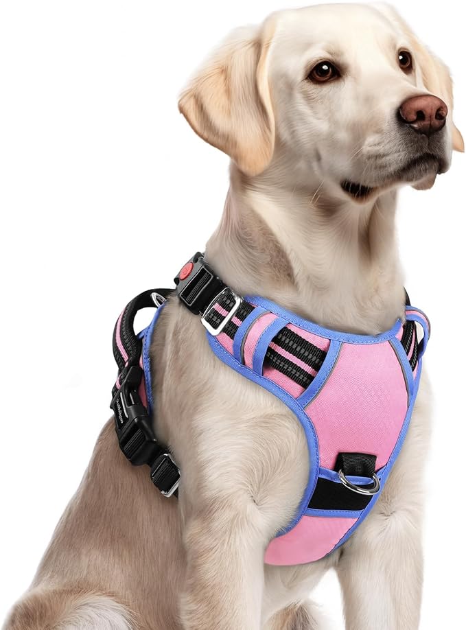 rabbitgoo Dog Harness for Large, No Pull 3 Buckles Easy On & Off | Soft Padded, Walking with Control Handle, Adjustable and Reflective, Light Pink & Blue, Large by rabbitgoo