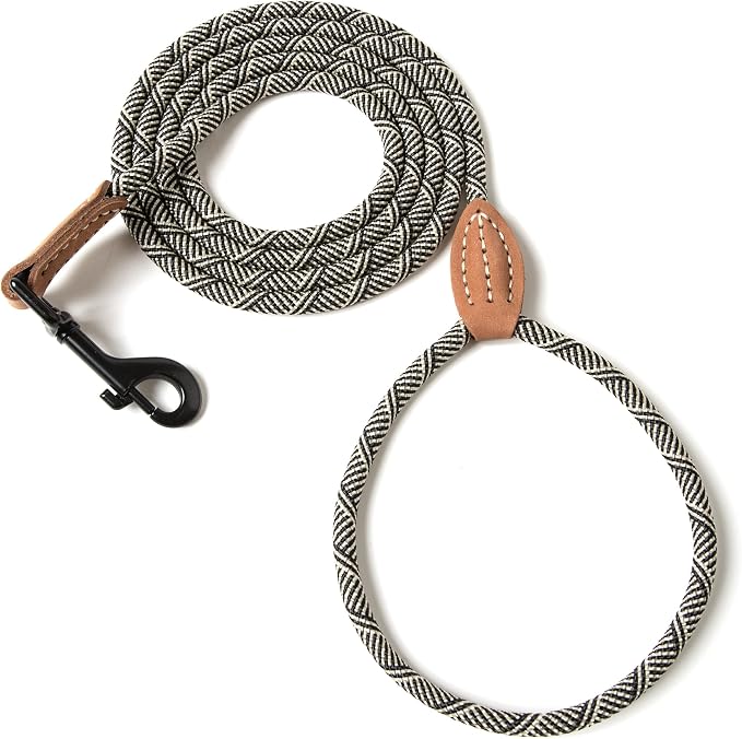 Mile High Life Dog Leash with Genuine Leather-Wrapped Ends, 4/5/6FT | Tangle-Free 360° Swivel Clasp Heavy Duty Rope Leash | Small Medium Large Dogs | Daily Walking (White Beige, 48 Inch, 1/3") by MileHighLife