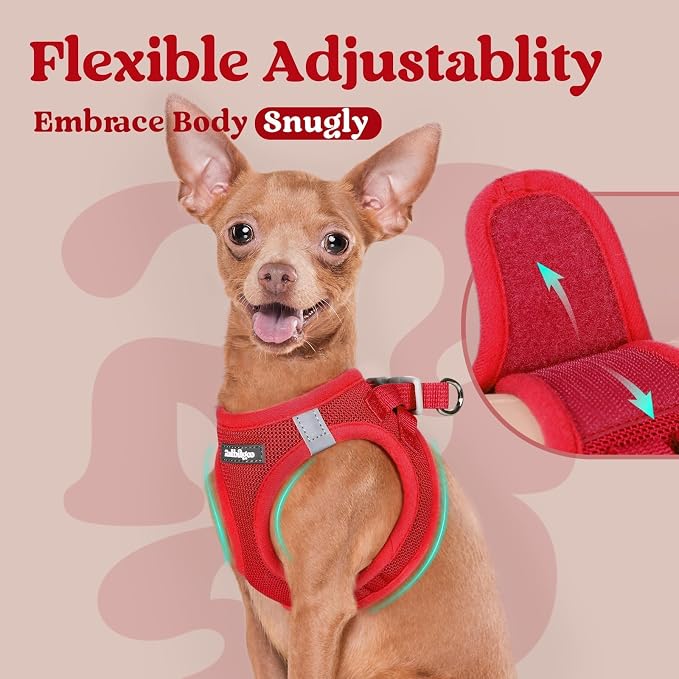 rabbitgoo Step-in Small Dog Harness, Puppy Vest for Small Medium Sized Pet | Easy Put on and off, Lightweight, Soft, Breathable Quick-Dry Air Mesh for Comfortable Secure Walking, Red L - Image 8