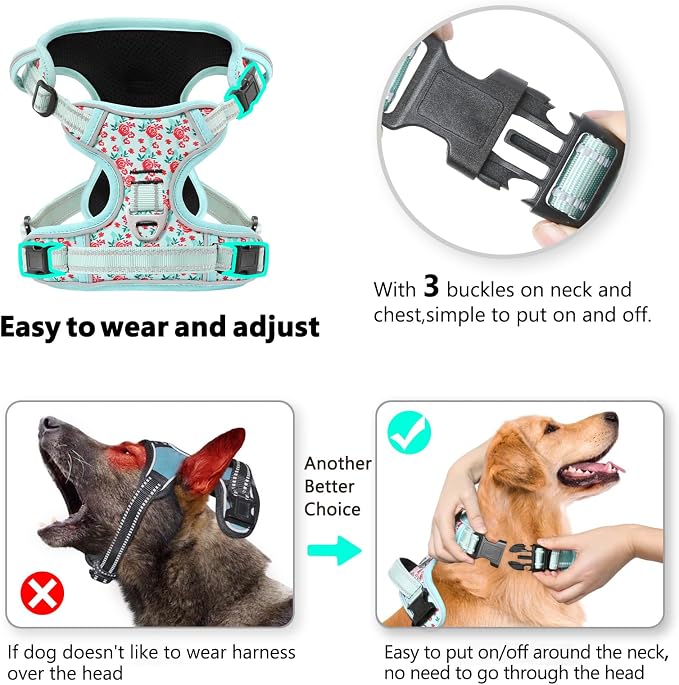 Timos Dog Harness, Front Clip No Pull Medium Sized with Handle, Cyan, M | No Choke, Adjustable Reflective Soft Padded, Quick Release 3 Buckles, Easy On & Off, Front & Back 2 Clips for Outdoor Walking - Image 2