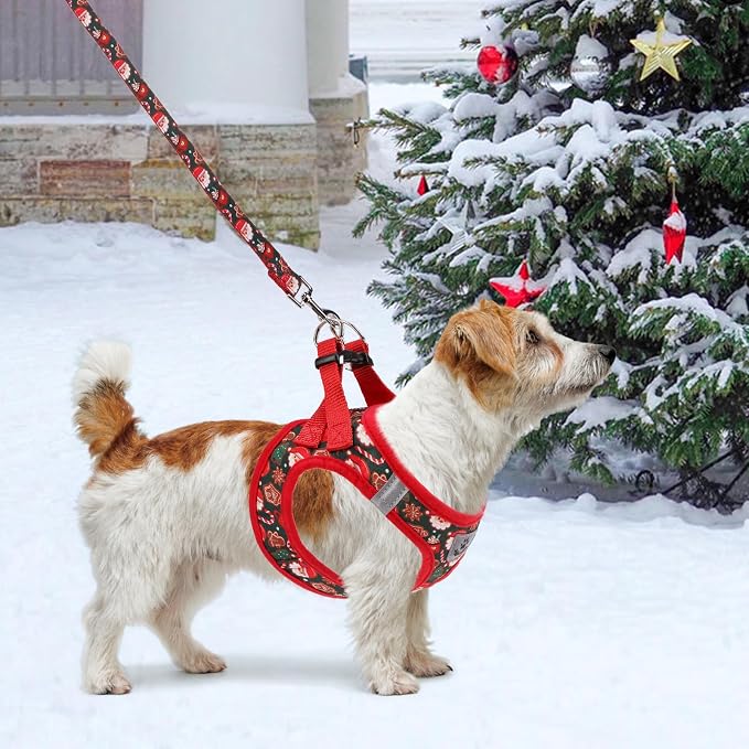 KOOLTAIL Christmas Dog Harness for Small Medium Dogs,Dog Harness and Leash Set, Step in No Pull Soft Mesh Padded Adjustable and Reflective Pet Vest Harness Puppy, Extra Harness for XS S Dogs, M - Image 6