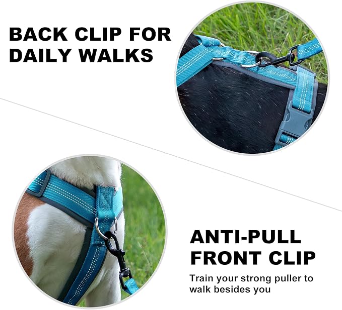 Plutus Pet No Pull Dog Harness, Adjustable Nylon Harness with Soft Padding | Reflective with Front Clip, Heavy Duty for Training and Walking, for Small Medium Large Dogs, Cyan, XL - Image 4
