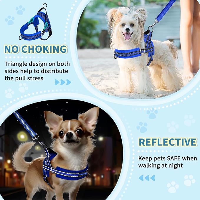 Lukovee Small Dog Harness and Leash Set, No Pull Soft Padded Vest | Both Neck & Chest Adjustable, Reflective, Puppy Harness with 4ft Lightweight Anti-Twist Dog Leash for Small Dogs (Blue, M) - Image 6