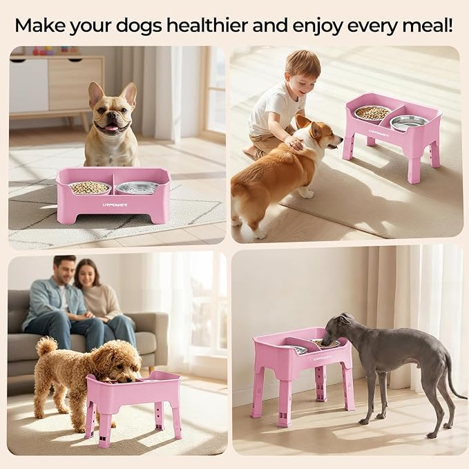 URPOWER Mess Proof Elevated Dog Bowls, Splash Guard Raised Bowl Stand | 4 Adjustable Heights, 2 Stainless Steel Bowls, Food & Water Separation, Non-Slip Base, Foldable Design for Small Dogs - Image 7