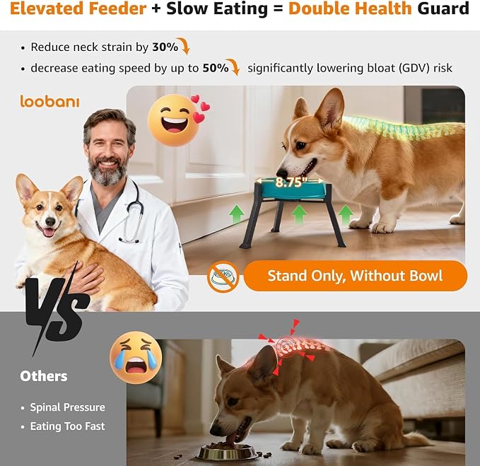 LOOBANI Elevated Dog Bowl Stand Adjustable 5.9"-8.7" Width for Seniors Dogs | for Senior & Arthritic Dogs, Reduces Neck Strain, Non-Slip Rubber Feet, Rust-Proof Stand, Easy Clean - Image 4