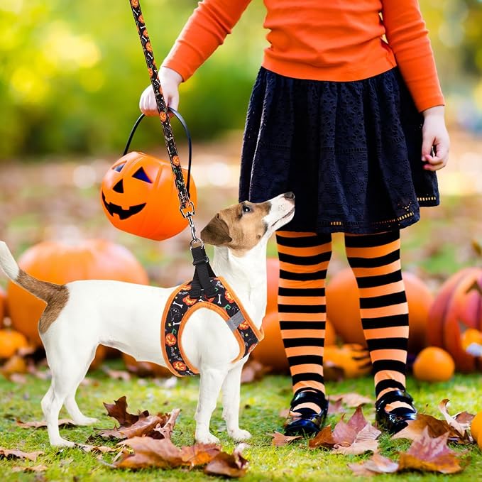 PUPTECK Dog Harness, Collar and Leash Set No Pull for Small Medium Sized | Halloween Puppy Step-in Escape Proof Reflective No Choke Pet Cat Adjustable Walking Vest - Image 7