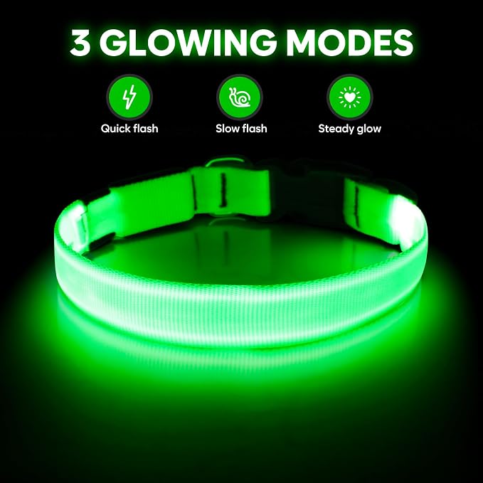 Illumifun LED Collar for Small Dogs, USB Rechargeable Light Up Dog Collar, Flashing Pet Safety Light Glow in the Dark (Green, Small) - Image 2