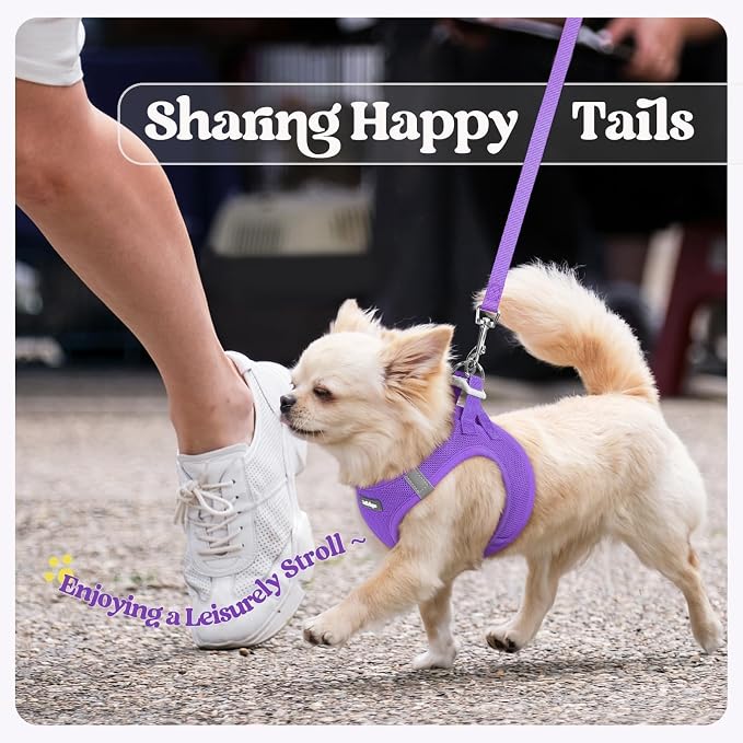 rabbitgoo Dog Harness Small Sized and Leash Set, Step-in Puppy Pet Vest | Light, Soft, Breathable Air Mesh, Easy on and Remove with Hook & Loop, Secure Reflective for Walking, Purple XS - Image 9