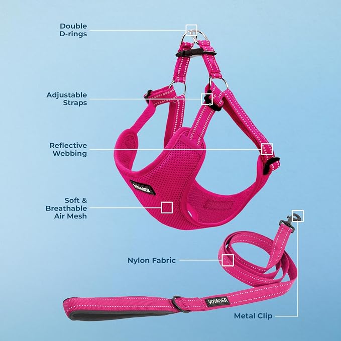 Best Pet Supplies Voyager Adjustable Step-in Flex Breathable Mesh Dog Harness for Small Medium Large Dogs Leash Set (Fuchsia), XS - Image 3
