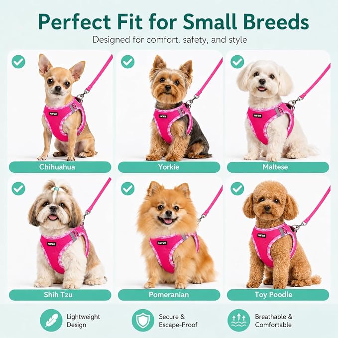 AMTOR Small Dog Harness with Leash Set, No Escape Easy Walk Puppy Harnesses for Training Walking, Step-in Reflective Soft Dogs Vest for XS S Medium Extra-Small Large Sized Dog(Fuchsia,XS) - Image 3