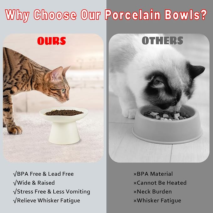 Extra Wide 6.1" Raised Cat Food Bowl, Shallow Ceramic Elevated Cat Feeder, Anti Vomiting, Stress Free, Whisker Fatigue, Pet Food or Water Bowl, White - Image 6