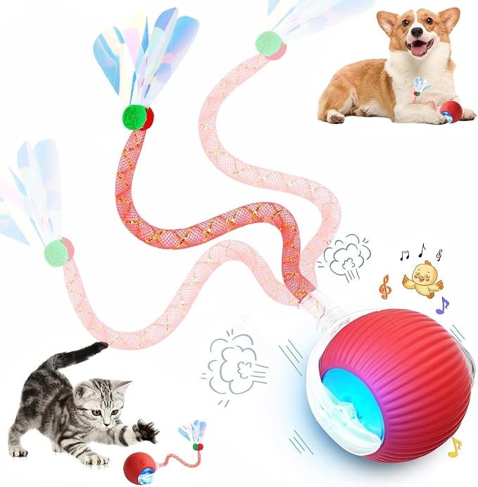 Speed 2.0 Tail Interactive Cat Toys for Indoor Cats, Moving Cat Toy | Chirping & Motion Activate Cat Toy, Smart Kitten Toys Rolling Ball Moving Ball, Electric Dog Cat Ball for Enrichment Exercise by Unknown