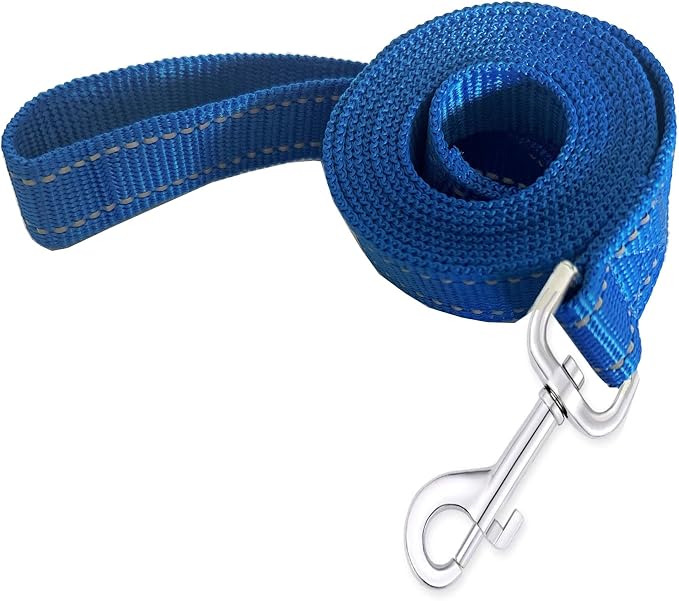 Reflective Dog Leash 4Ft /5 Foot /6 Feet Long, 1 Inch Wide, for Small and Medium Dogs by TAIDA