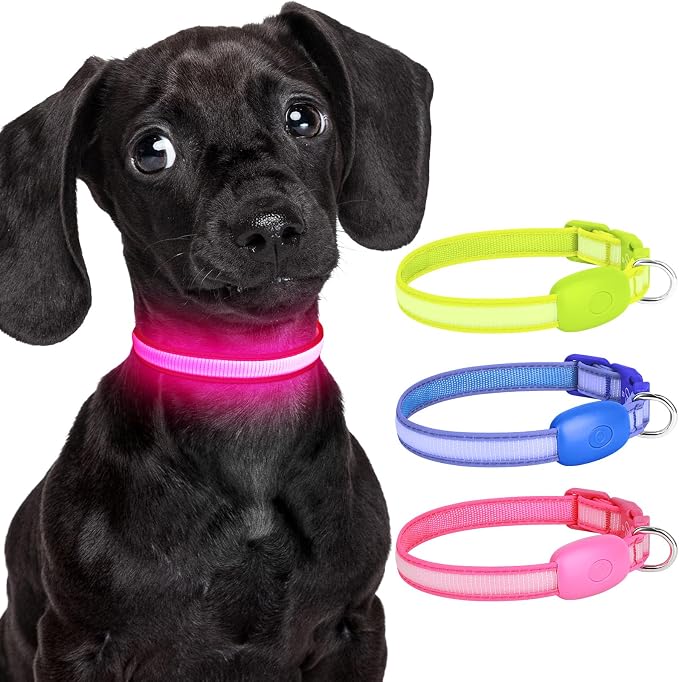 LED Light Up Dog Collar for Night Safety Walks, Pink, S | USB rechargeable, waterproof & pet-safe, 3 lighting modes, long-lasting glow, adjustable S/M/L, soft comfy daily walk fit by Dlitk