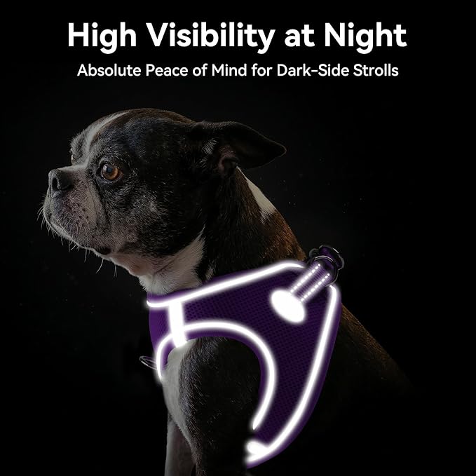 Joytale Step-in Dog Harness, Soft Breathable Mesh, Purple XXS | Adjustable Fit for Small Dogs, Easy Step-in with Secure Fastener, Even Chest Pressure, Reflective For Night Safety, Washable - Image 5