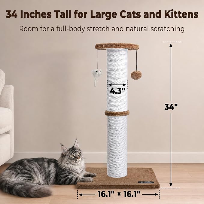34-Inch Tall Cat Scratching Post for Large Cats, Sturdy Base, Tan | Heavy-Duty Cat Scratcher, Extra-Tall Thick Post, Soft Natural Cotton Rope, Hanging Interactive Cat Toys, Indoor Cat Furniture - Image 2