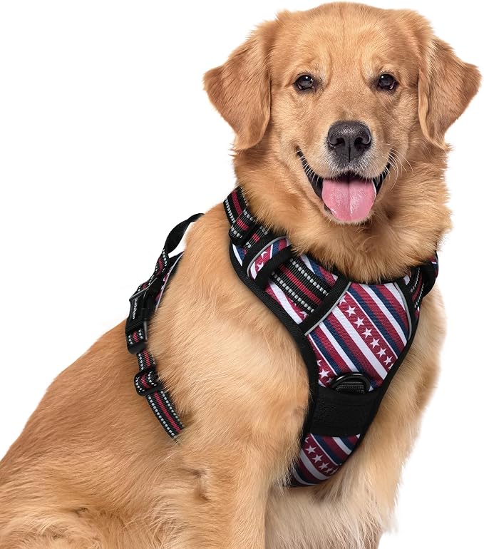 rabbitgoo Dog Harness, No Pull for Large Dogs with 2 Leash Clips, Pet Vest | No Choke with Handle, Adjustable Soft Padded, Reflective, Easy Control for Walking, Red Stripe, X-Large by rabbitgoo