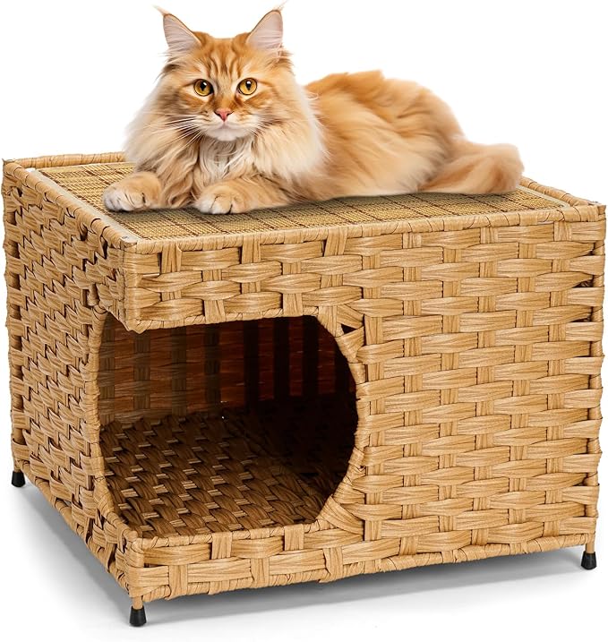 Cat House for Indoor Cats - Wicker Cat Bed with Double-Sided Soft Cushion, Decorative Handwoven Pet Bed Furniture by Anysiny
