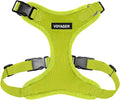 Voyager Step-in Lock Dog Harness - Lime Green, Medium | 17 - 21" in Chest, Adjustable, Breathable Air Mesh, Lightweight for Daily Walks, Strong Clips, Heavy Duty D-Ring by BestPetSuppliesLLC