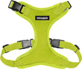 Voyager Step-in Lock Dog Harness - Lime Green, X-Small | 13 - 16" in Chest, Adjustable, Breathable Air Mesh, Lightweight for Daily Walks, Strong Clips, Heavy Duty D-Ring by BestPetSuppliesLLC