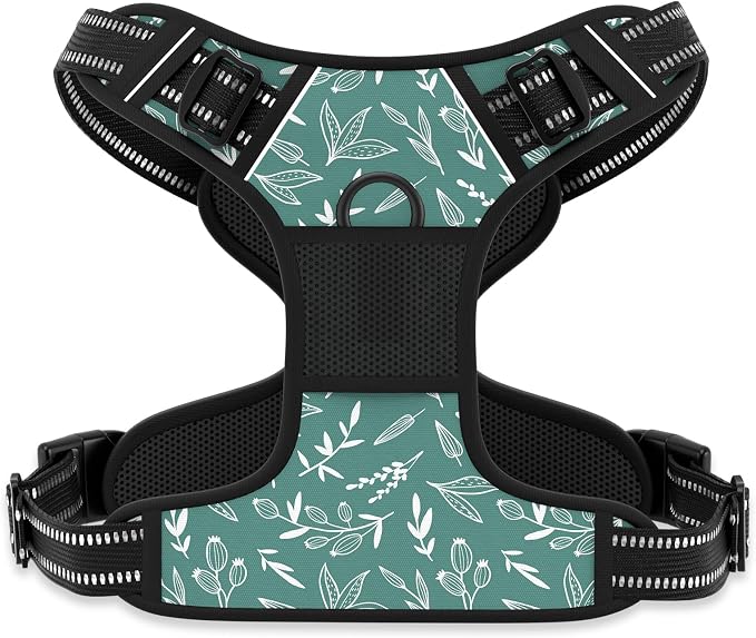 Rnivvi No Pull Dog Harness, Cute Reflective Small Sized Puppy Kitten Harness, Adjustable Soft Padded Vest for Small Dogs, Cats, Heavy Duty Pet Vest with Easy Control Handle for Walking, Green Leaves by Rnivvi