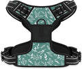 Rnivvi No Pull Dog Harness, Cute Reflective Small Sized Puppy Kitten Harness, Adjustable Soft Padded Vest for Small Dogs, Cats, Heavy Duty Pet Vest with Easy Control Handle for Walking, Green Leaves by Rnivvi