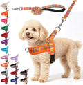 BEAUTYZOO Dog Harness Medium Sized and Leash Set, No Pull Step in Pet Vest | Adjustable Quick Fit No Choke Escape Proof, Breathable with Handle, Lightweight, Easy Control for Walking, Orange M by BEAUTYZOO