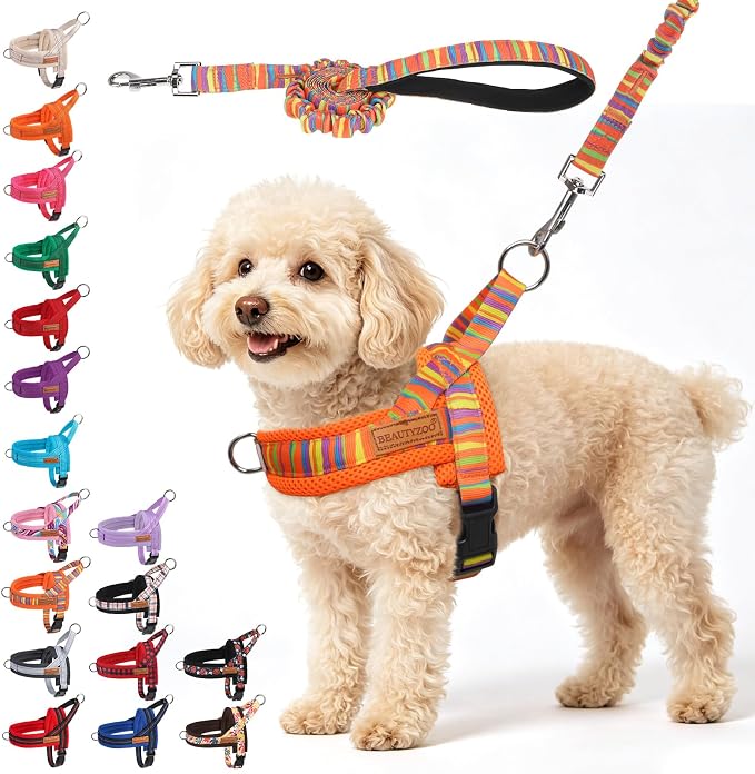 BEAUTYZOO Dog Harness Medium Sized and Leash Set, No Pull Step in Pet Vest | Adjustable Quick Fit No Choke Escape Proof, Breathable with Handle, Lightweight, Easy Control for Walking, Orange M by BEAUTYZOO