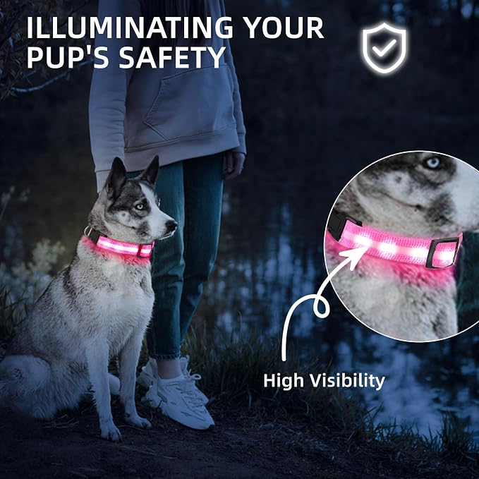 Super Bright LED Dog Collar, Waterproof Light up Collars(Pink, X-Small) | Lighted Dog Collar with Adjustable Fit, Soft Nylon Comfort, USB-C Rechargeable, Glow in the Dark Visibility for Night Walks - Image 5
