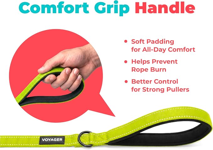 Best Pet Supplies Voyager Nylon Dog Leash - Lime Green, Large | 5ft in Length, 1" in Width, Reflective, Soft Neoprene Handle, Heavy Duty Metal Clips for Running, Walking & Training - Image 5