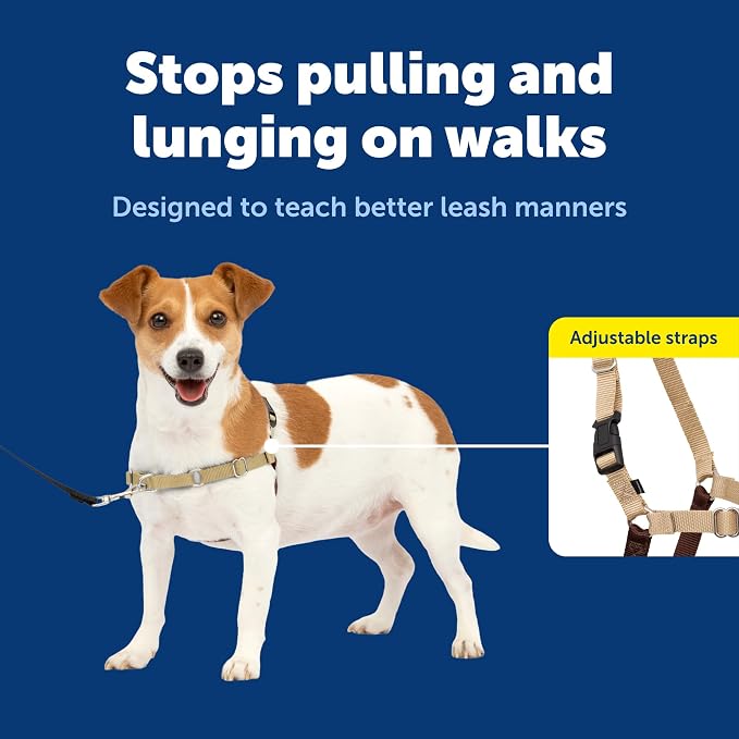 PetSafe Easy Walk Harness, No Pull Dog Harness, Fawn, Small | Patented Martingale Loop Gives Gradual Shoulder Pressure to Stop Pulling, Front-Chest Leash Clip Prevents Gagging - Image 3