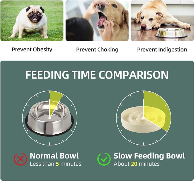 Havniva Elevated Slow Feeder Dog Bowls, Ceramic Dog Bowl Slow Feeder Set | 1.2 Cups Raised Slow Feeder Dog Bowl for Small Breed, 6.1” Dog Water Bowl with Wooden Stand, Puzzle Dog Food Bowl, Non-slip - Image 5