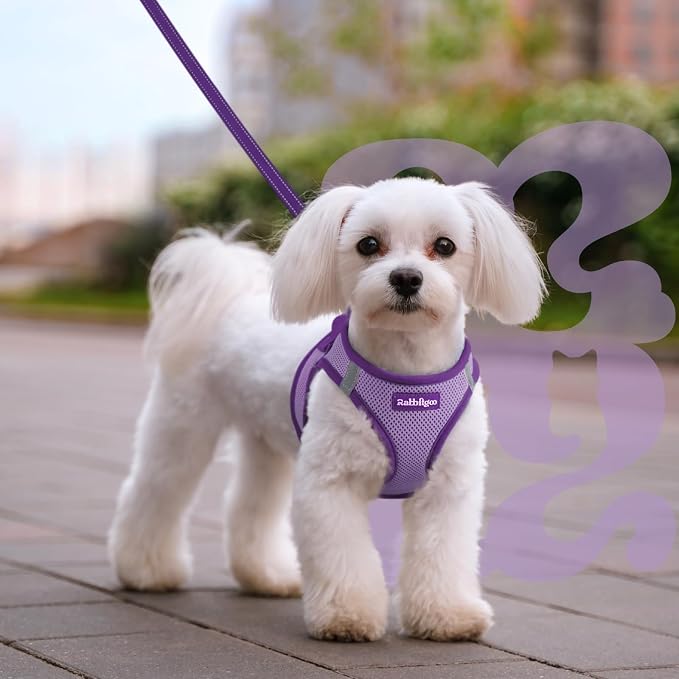 rabbitgoo Dog Harness Small Sized and Leash Set, Step in Soft Vest | Breathable Mesh, Easy Wear with Hook & Loop, Light and Reflective for Walking, Multi-colored, Light Purple & Purple, M - Image 8