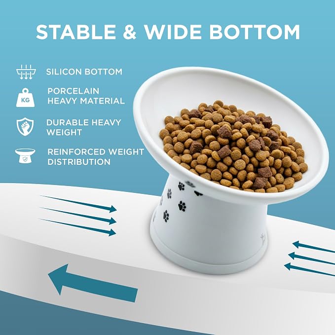 Necoichi Ceramic Elevated Cat Food Bowl, 15° Tilted (Cat, Extra Wide Tilted) - Image 8