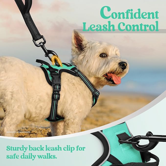 rabbitgoo Dog Harness, No Pull for Small Dogs with 2 Leash Clips, Pet Vest | No Choke with Handle, Adjustable Soft Padded, Reflective, Easy Control for Walking, Turquoise, X-Small - Image 6