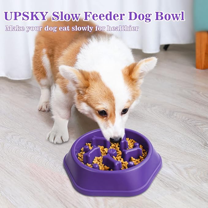 UPSKY Slow Feeder Dog Bowl Anti-Chocking Slower Feeding Pet Puzzle Bowls | Interactive Bloat Stop Dog Food Dishes, Non-Slide Dogs Lick Treat for Small Medium, Slow-Eating Maze Design, Easy to Clean - Image 6
