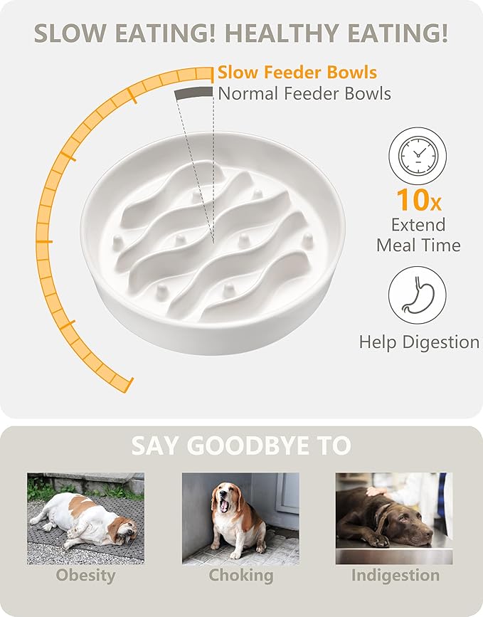 Ceramic Slow Feeder Dog Bowls for Medium and Large Dogs, 2.0 Cups Dog Slow Feeder for Fast Eater, 30oz, 8in, White - Image 3