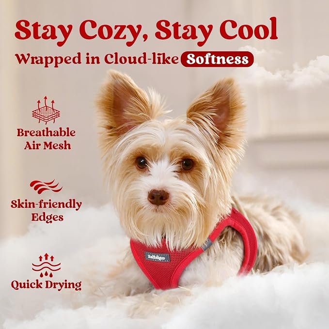 rabbitgoo Step-in Small Dog Harness, Puppy Vest for Small Medium Sized Pet | Easy Put on and off, Lightweight, Soft, Breathable Quick-Dry Air Mesh for Comfortable Secure Walking, Red L - Image 3