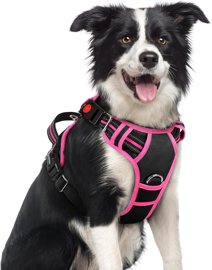 rabbitgoo Dog Harness Medium Sized, No Pull 3 Buckles Easy On & Off | Soft Padded, Walking with Control Handle, Adjustable and Reflective, Black & Pink, Medium by rabbitgoo