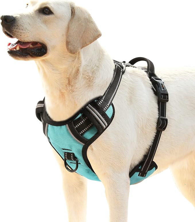 HEELE Dog Harness, No Pull Adjustable Padded Reflective Harness for Small Medium Large Dogs with Handle for Walking Training, Turquoise, XL | Reflective Front Clip Vest with Control Handle, No Choke, Adjustable 2 Metal Rings for Outdoor Walking Training by HEELE