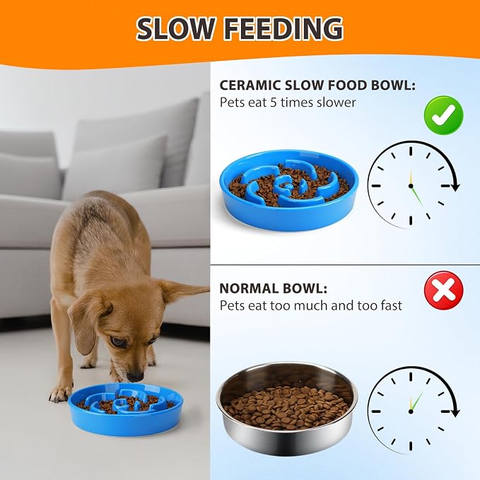 Ceramic Slow Feeder Dog Bowl, 2 Cups Maze Puzzle Dish to Slow Down Eating | Premium Ceramic Material with Anti-Slip Design, Suitable for Small, Medium and Large Breed Dogs Daily Feeding - Image 5