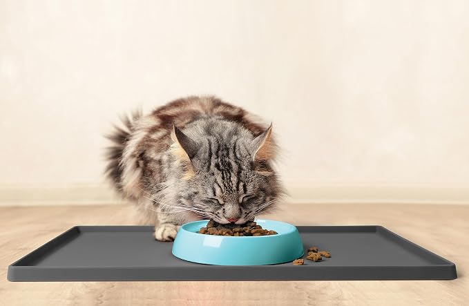 CatGuru Cat Bowls, Whisker Friendly Food Bowl for Indoor Cats, Reliefs Whisker Fatigue, Wide Kitten Dish, Non Slip Pet Dishes, Shallow Pet Plates (Aruba, (Pack of 2)) - Image 6