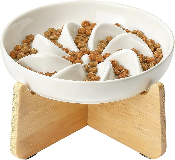 PETTOM Slow Feeder Cat Bowl with Stand, Ceramic Slow Eating Cat Bowl with Higher Edges, Elevated Cats Food Bowls for Dry and Wet Food Anti-Vomiting Puzzle Feeder for Healthy Eating Diet by PETTOM