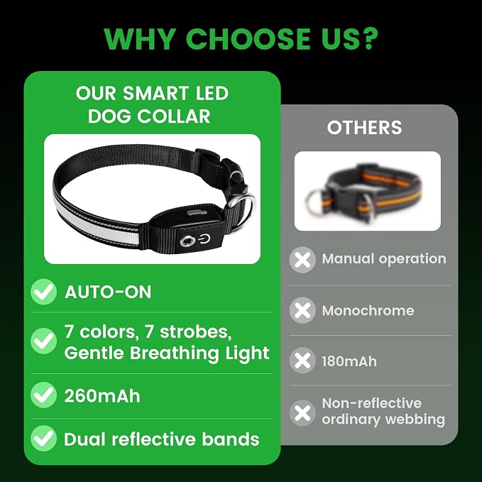Auto Light Up Dog Collar - Smart Safety Night Collar with Motion Sensor - Auto-On in Dark - USB-C Rechargeable - 3 Day Runtime- IP65 Waterproof (M 15-20“) - Image 5