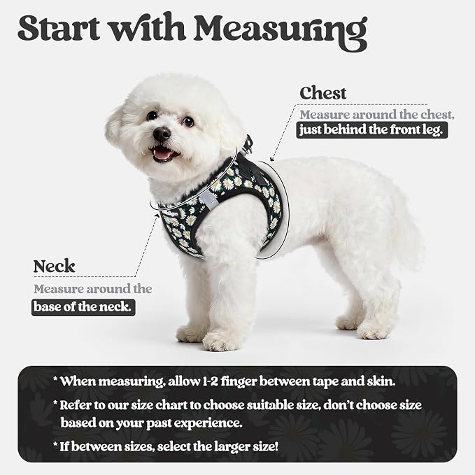 rabbitgoo Dog Harness Small Sized and Leash Set, Step-in Puppy Pet Vest | Light, Soft, Breathable Air Mesh, Easy on and Remove with Hook & Loop, Secure Reflective for Walking, Midnight Daisy XS - Image 2