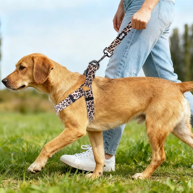 Dog Harness Leash Set Adjustable Heavy Duty No Pull Halter Harnesses for Small Medium Large Breed Dogs Back Clip Anti-Twist Perfect for Walking - Image 5